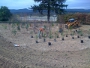 Land Reclamation